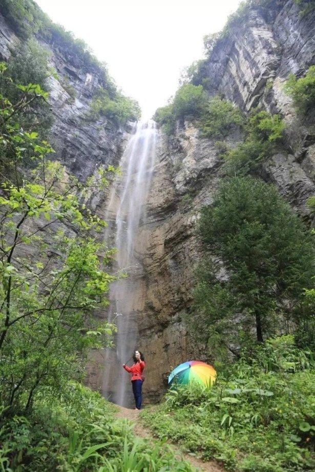 新春赏“梅”景!170多盆“大师级”盆景一次看过瘾